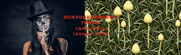 МДПВ Белокуриха